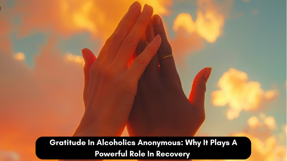 Gratitude In Alcoholics Anonymous: Why It Plays Powerful Role In Recovery 